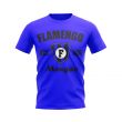 Flamengo Established Football T-Shirt (Blue)