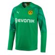 Borussia Dortmund 2019-2020 Home Goalkeeper Shirt (Green)