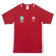 Denmark 2021 Polyester T-Shirt (Red) - Kids