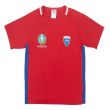Croatia 2021 Polyester T-Shirt (Red) - Kids