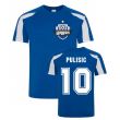 Christian Pulisic Sport Training Jersey (Blue)