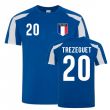David Trezeguet France Sports Training Jersey (Blue-White)