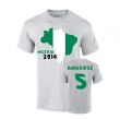 Nigeria 2014 Country Flag T-shirt (ambrose 5)