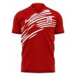 Nurnberg 2025-2026 Home Concept Football Kit (Libero)