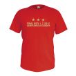 Spain Champions of Europe T-Shirt (Red)