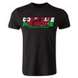 Dont Take Me Home - Wales T-Shirt (Black)