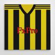 Watford 2018-19 Football Canvas Print