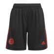 2021-2022 Bayern Munich Training Shorts (Black) - Kids