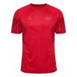 2022-2023 Denmark Home Jersey
