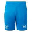 2023-2024 Leinster Training Shorts (Blue)