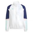 2023-2024 Ajax Presentation Jacket (White)