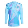 2024-2025 Spain Home LS Goalkeeper Shirt (Semi Blue)