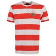 Japan Rugby Stripe T-Shirt