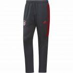 Bayern Munich 2017-2018 Training Pants (Dark Grey) - Kids