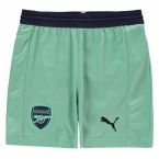 Arsenal 2018-2019 Third Shorts (Kids)