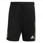 Juventus 2018-2019 Training Shorts (Black)