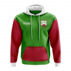 Wales Concept Country Football Hoody (Green)