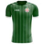 2025-2026 Northern Ireland Home Concept Football Shirt - Adult Long Sleeve