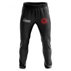 Albania Concept Football Training Pants (Black)