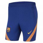 Barcelona 2020-2021 Strike Training Shorts (Blue)