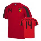 Portugal Sports Training Jersey (Carvalho 14)