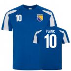 Bosnia and Herzegovina Sports Training Jerseys (Pjanic 10)