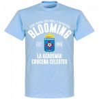 Deportivo Blooming Established T-Shirt - Sky