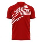 Nurnberg 2025-2026 Home Concept Football Kit (Libero)