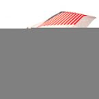 England FA Umbrella