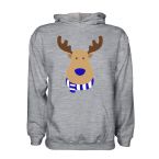 Real Zaragoza Rudolph Supporters Hoody (grey) - Kids