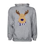 Scotland Rudolph Supporters Hoody (grey) - Kids