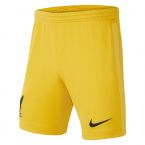 Liverpool 2021-2022 Home Goalkeeper Shorts (Gold) - Kids