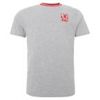 Liverpool Heritage 1989 Grey Away Tee