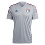 2022-2023 Olympique Lyon Training Jersey (Halo Silver)