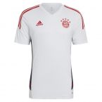 2022-2023 Bayern Munich Training Shirt (White)