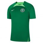 2022-2023 Nigeria Dri-Fit Training Shirt (Green)