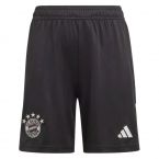 2023-2024 Bayern Munich Goalkeeper Shorts (Black) - Kids