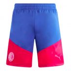 2023-2024 AC Milan Training Shorts (Royal Sapphire)