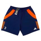 2024-2025 Juventus Downtime Shorts (Navy)