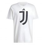 2024-2025 Juventus DNA Graphic Tee (White)