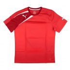 Puma Training Tee (Red)