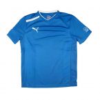 Puma Training Tee (Blue)