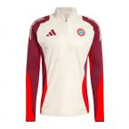 2024-2025 Bayern Munich EU Training Top (Linen)
