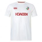 2024-2025 British and Irish Lions Superlight Tee (Cream)