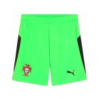 2025-2026 Portugal Home Goalkeeper Shorts (Green)