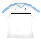 Sydney FC 2017-18 Puma Training Shirt (XL) (Fair) (Fair)