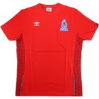 2015-16 Azerbaijan Umbro Training Shirt (Red)