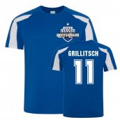 Florian Grillitsch Hoffenheim Sports Training Jersey (Blue)