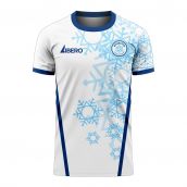 Antarctica 2025-2026 Home Concept Football Kit (Libero)