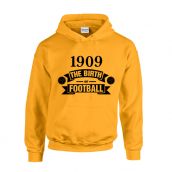 Borussia Dortmund Birth Of Football Hoody (yellow)